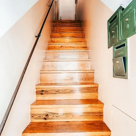 Apolonia Train Spot By Gt House