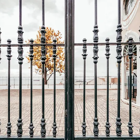 Apolonia Train Spot By Gt House Lisboa